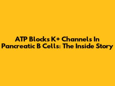 ATP Blocks K+ Channels In Pancreatic B Cells: The Inside Story