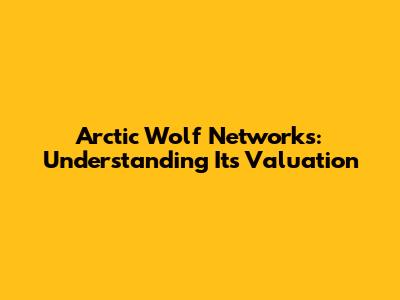 Arctic Wolf Networks: Understanding Its Valuation