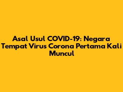 Asal Usul COVID-19: Negara Tempat Virus Corona Pertama Kali Muncul
