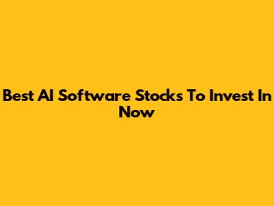 Best AI Software Stocks To Invest In Now