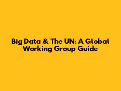 Big Data & The UN: A Global Working Group Guide