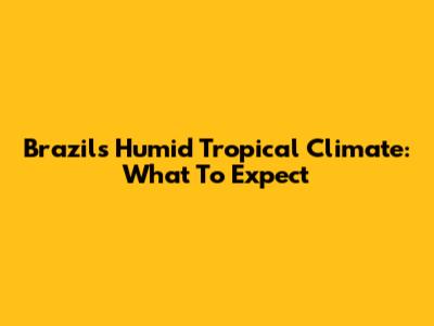 Brazil's Humid Tropical Climate: What To Expect