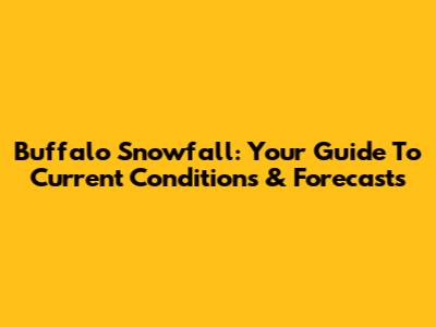 Buffalo Snowfall: Your Guide To Current Conditions & Forecasts