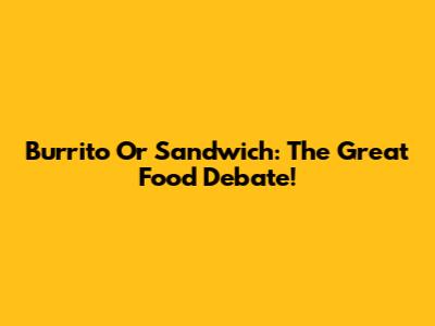 Burrito Or Sandwich: The Great Food Debate!