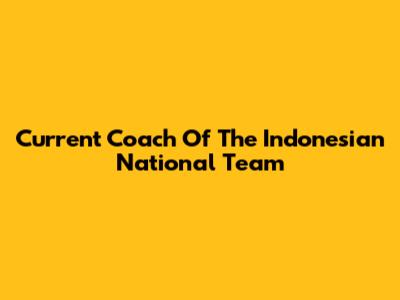 Current Coach Of The Indonesian National Team