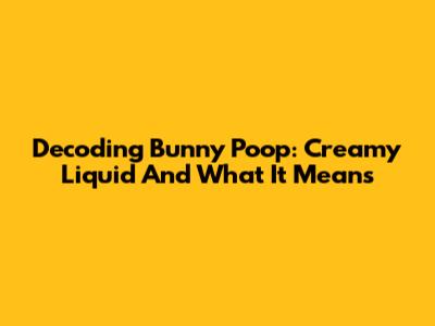 Decoding Bunny Poop: Creamy Liquid And What It Means