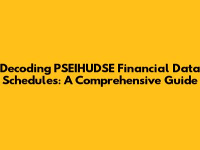 Decoding PSEIHUDSE Financial Data Schedules: A Comprehensive Guide