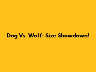Dog Vs. Wolf: Size Showdown!