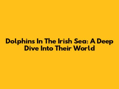 Dolphins In The Irish Sea: A Deep Dive Into Their World