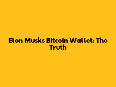 Elon Musk's Bitcoin Wallet: The Truth
