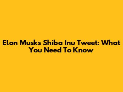 Elon Musk's Shiba Inu Tweet: What You Need To Know