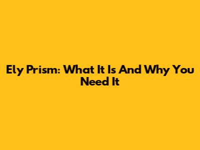 Ely Prism: What It Is And Why You Need It