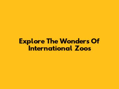 Explore The Wonders Of International Zoos