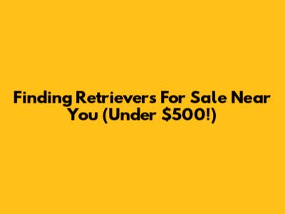 Finding Retrievers For Sale Near You (Under $500!)
