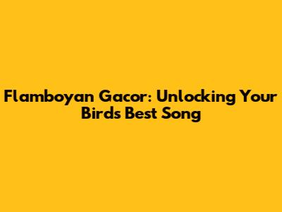 Flamboyan Gacor: Unlocking Your Bird's Best Song