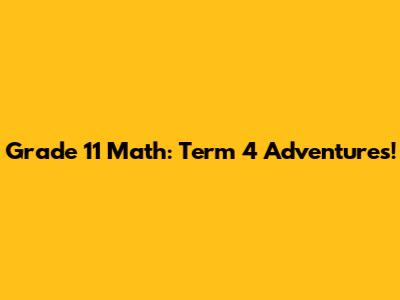 Grade 11 Math: Term 4 Adventures!
