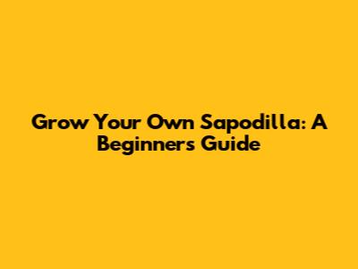 Grow Your Own Sapodilla: A Beginner's Guide