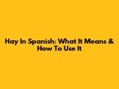 Hay In Spanish: What It Means & How To Use It