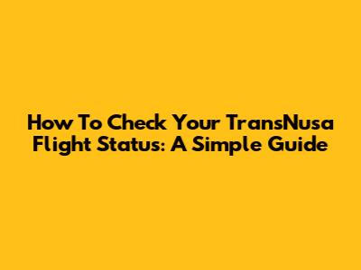 How To Check Your TransNusa Flight Status: A Simple Guide