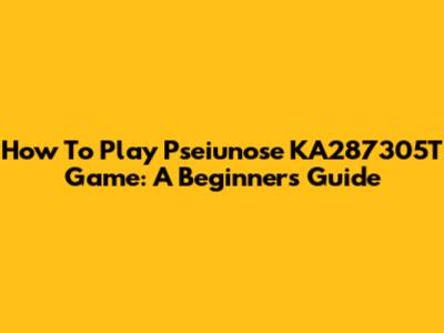 How To Play Pseiunose KA287305T Game: A Beginner's Guide
