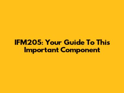 IFM205: Your Guide To This Important Component