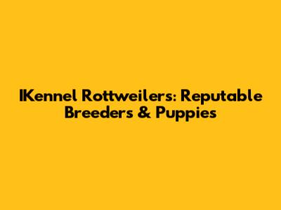 IKennel Rottweilers: Reputable Breeders & Puppies