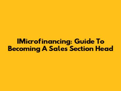 IMicrofinancing: Guide To Becoming A Sales Section Head