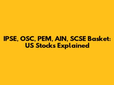 IPSE, OSC, PEM, AIN, SCSE Basket: US Stocks Explained