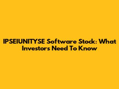 IPSEIUNITYSE Software Stock: What Investors Need To Know