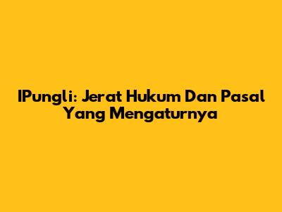 IPungli: Jerat Hukum Dan Pasal Yang Mengaturnya