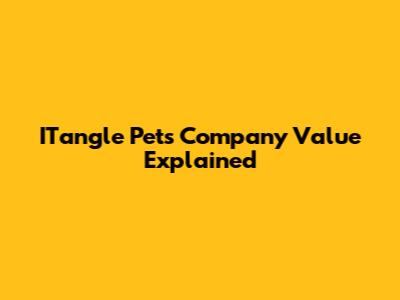 ITangle Pets Company Value Explained