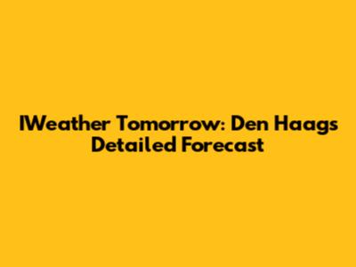 IWeather Tomorrow: Den Haag's Detailed Forecast