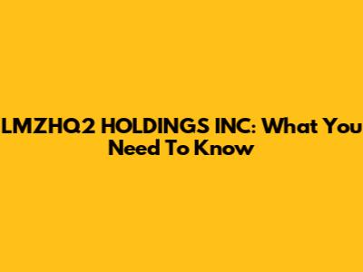 LMZHQ2 HOLDINGS INC: What You Need To Know