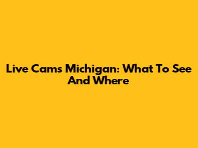 Live Cams Michigan: What To See And Where