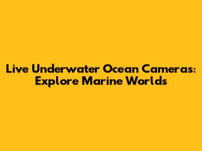 Live Underwater Ocean Cameras: Explore Marine Worlds