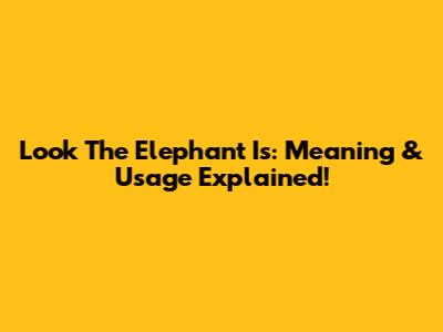 Look The Elephant Is: Meaning & Usage Explained!