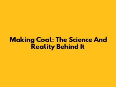 Making Coal: The Science And Reality Behind It