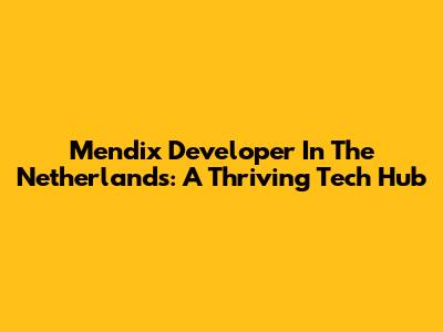 Mendix Developer In The Netherlands: A Thriving Tech Hub
