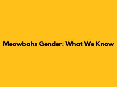 Meowbah's Gender: What We Know