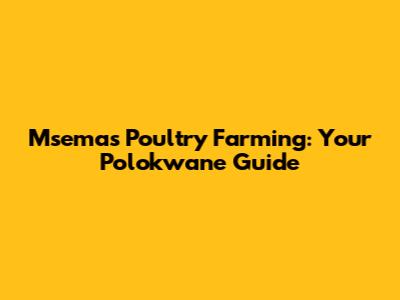 Msema's Poultry Farming: Your Polokwane Guide