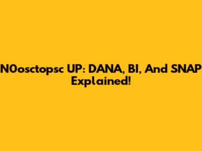 N0osctopsc UP: DANA, BI, And SNAP Explained!