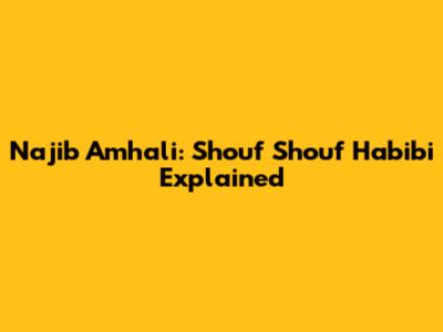 Najib Amhali: Shouf Shouf Habibi Explained