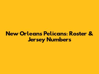 New Orleans Pelicans: Roster & Jersey Numbers