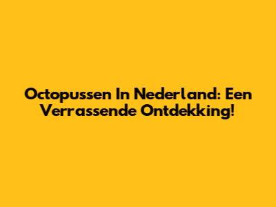 Octopussen In Nederland: Een Verrassende Ontdekking!