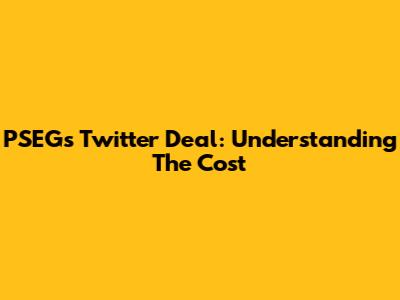 PSEG's Twitter Deal: Understanding The Cost