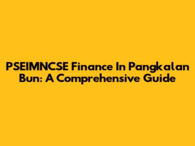 PSEIMNCSE Finance In Pangkalan Bun: A Comprehensive Guide
