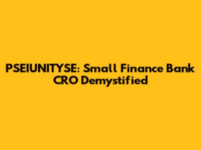 PSEIUNITYSE: Small Finance Bank CRO Demystified