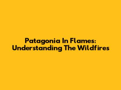Patagonia In Flames: Understanding The Wildfires