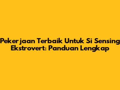 Pekerjaan Terbaik Untuk Si Sensing Ekstrovert: Panduan Lengkap