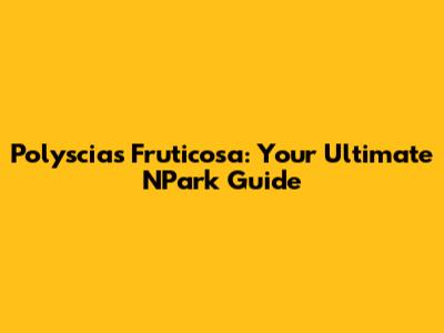 Polyscias Fruticosa: Your Ultimate NPark Guide
